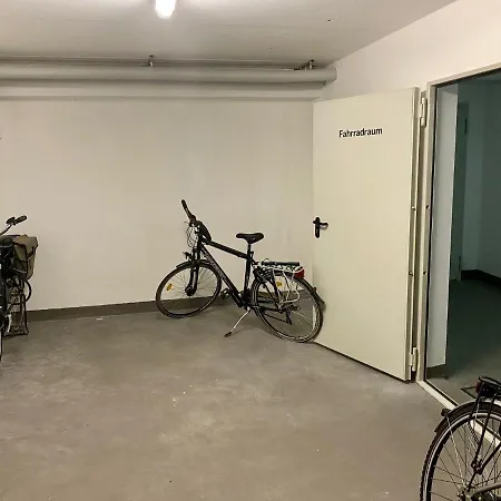 Meeresrauschen Seemoewe *