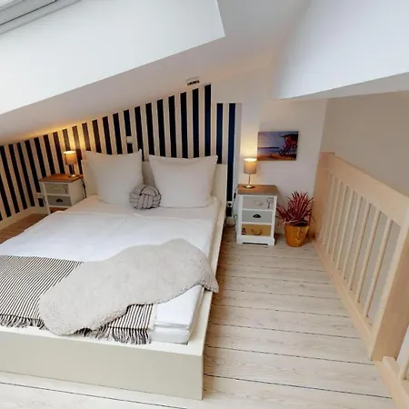 Meeresrauschen Seemoewe *