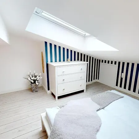 Meeresrauschen Seemoewe