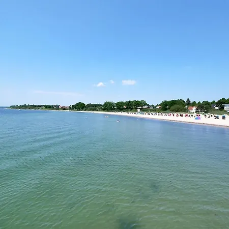 Meeresrauschen Seemoewe *