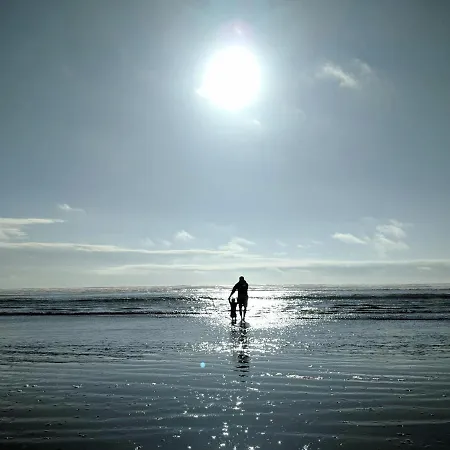 Meeresrauschen Seemoewe Apartament *