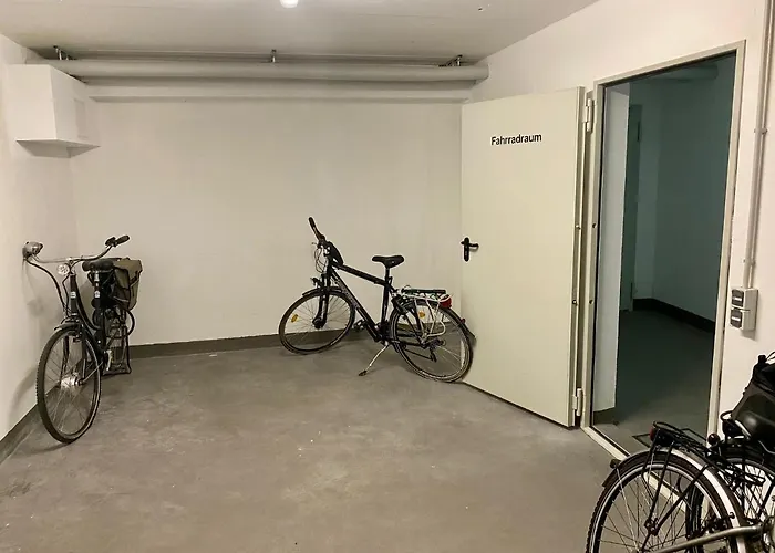 Meeresrauschen Seemoewe *