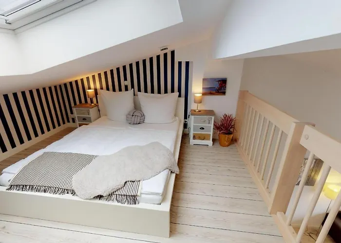 Meeresrauschen Seemoewe *