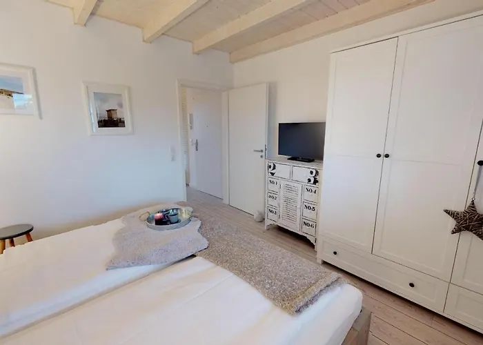 Meeresrauschen Seemoewe Pelzerhaken