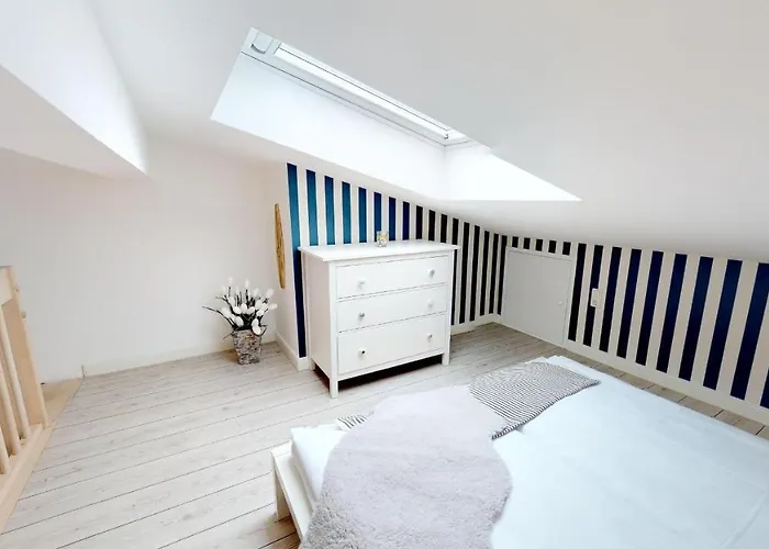 Meeresrauschen Seemoewe