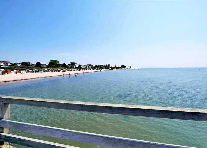 Meeresrauschen Seemoewe Pelzerhaken