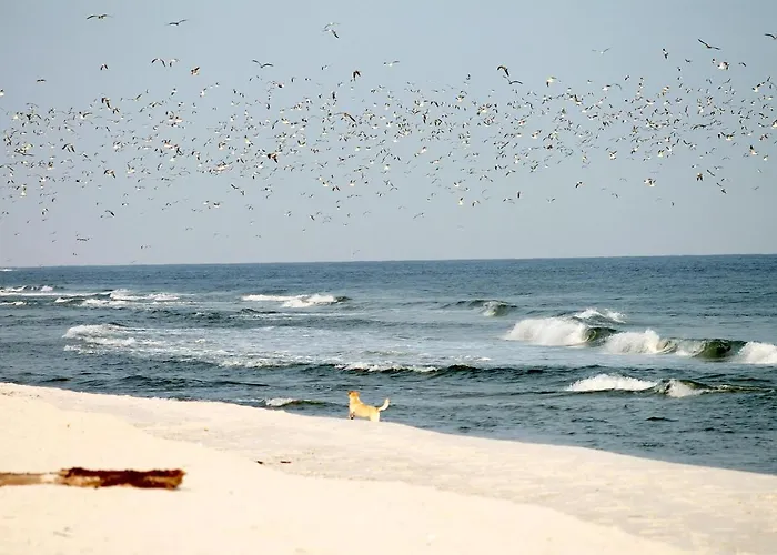 Appartamento Meeresrauschen Seemoewe Pelzerhaken