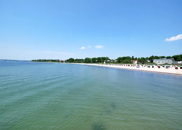 Meeresrauschen Seemoewe *