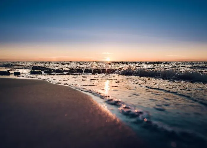 Meeresrauschen Seemoewe *