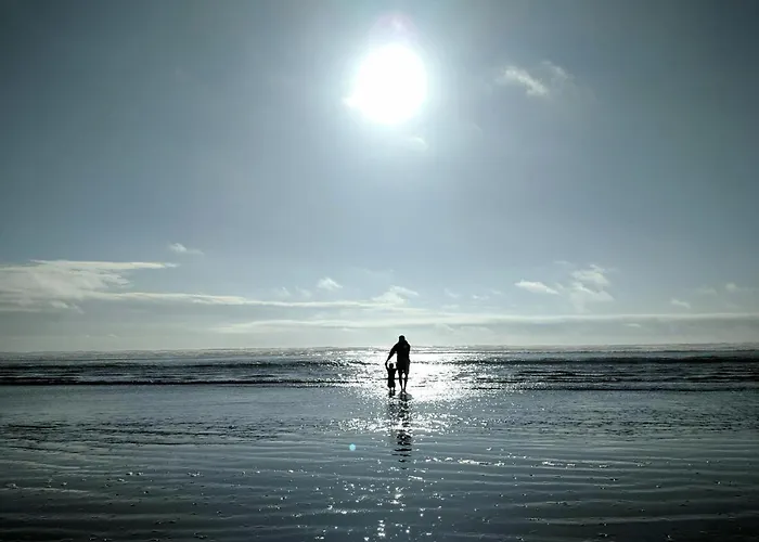 Meeresrauschen Seemoewe Appartamento *